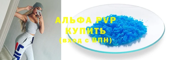 СК Аркадак