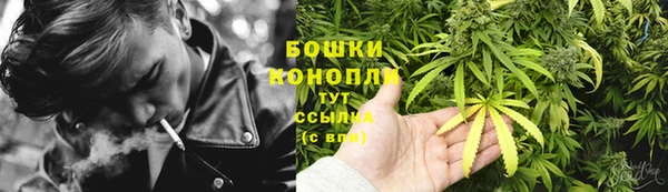 СК Аркадак