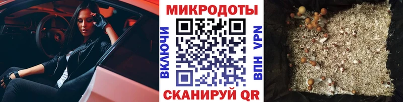 Галлюциногенные грибы Psilocybe МЕГА tor Родники